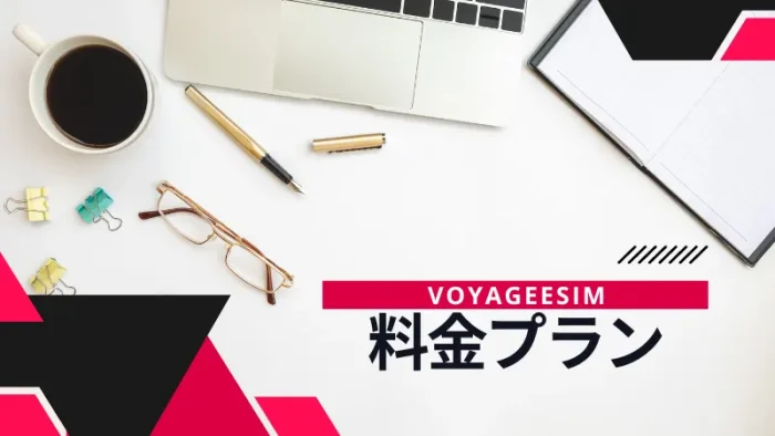 VOYAGEESIM料金プラン