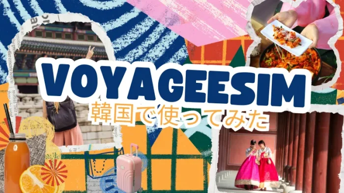 VOYAGEESIM韓国で利用