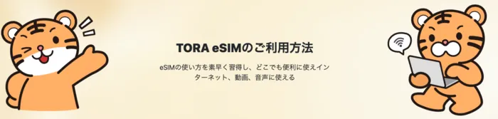 eSIMの利用方法